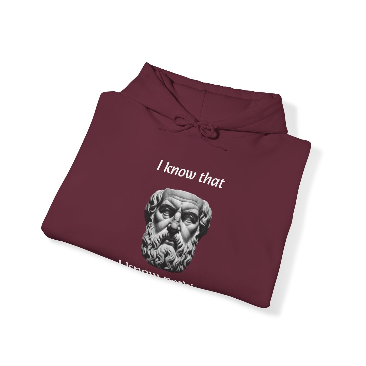 I Know That I Know Nothing (Socrates) - Unisex Heavy Blend™ Hooded Sweatshirt