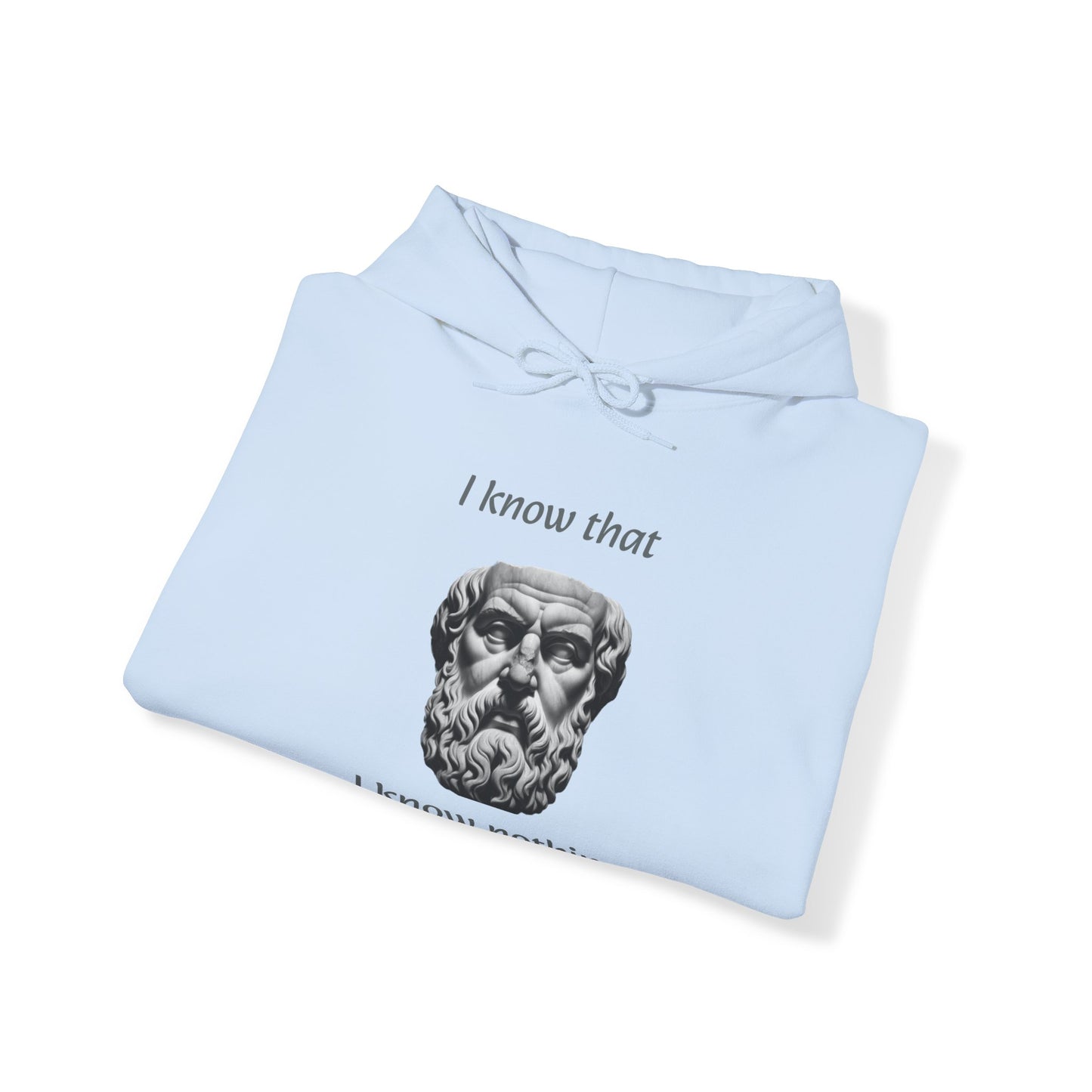 I Know That I Know Nothing (Socrates) - Unisex Heavy Blend™ Hooded Sweatshirt