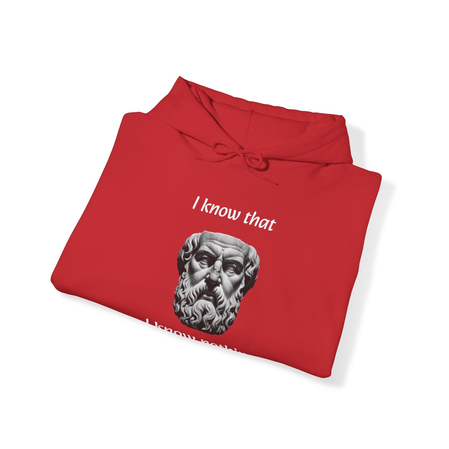 I Know That I Know Nothing (Socrates) - Unisex Heavy Blend™ Hooded Sweatshirt