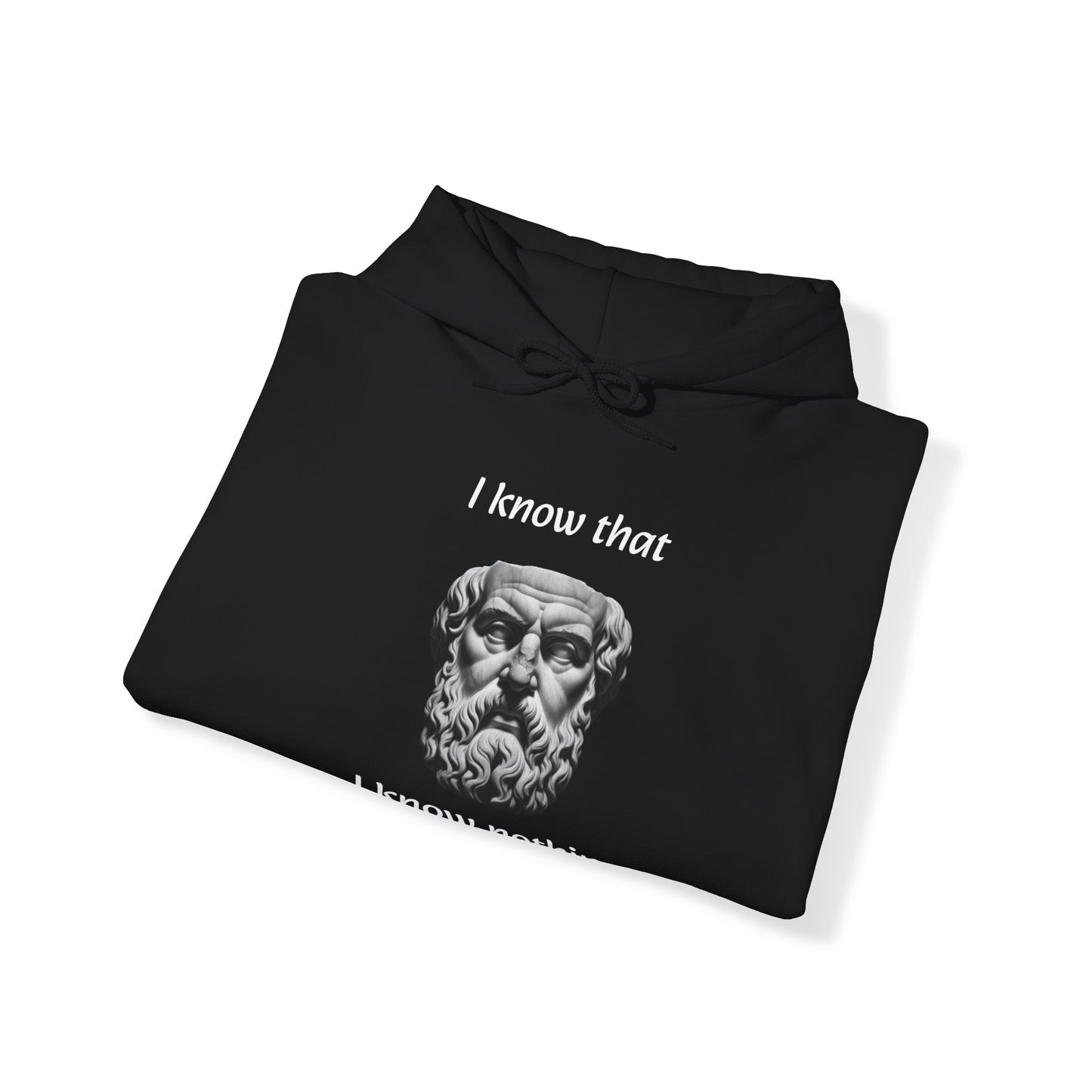 I Know That I Know Nothing (Socrates) - Unisex Heavy Blend™ Hooded Sweatshirt