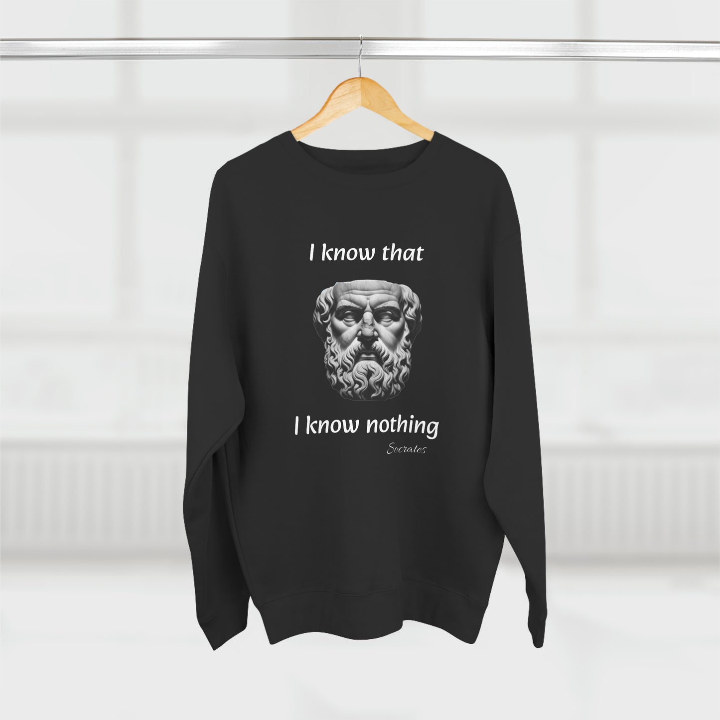 I Know That I Know Nothing (Socrates) - Unisex Crewneck Sweatshirt