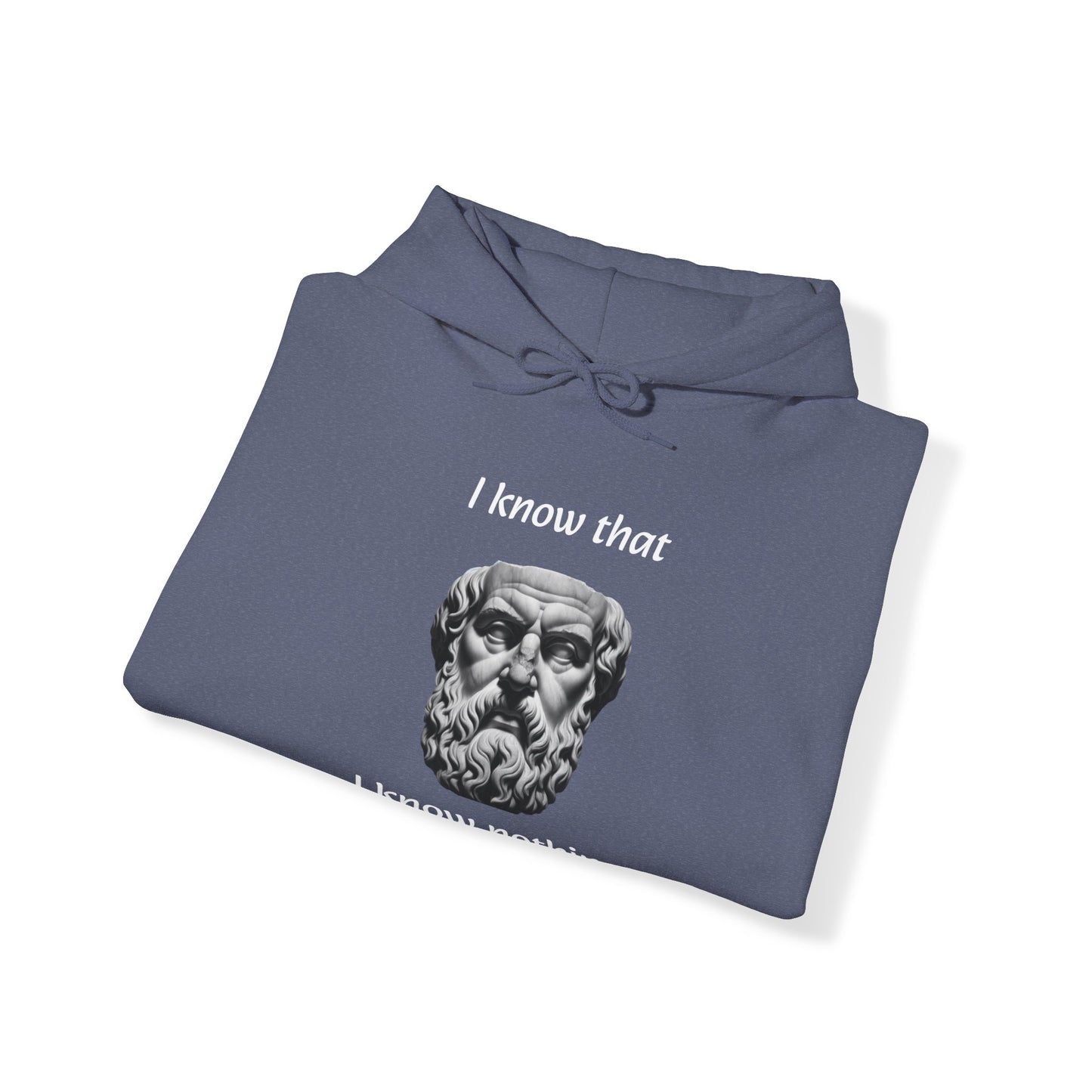 I Know That I Know Nothing (Socrates) - Unisex Heavy Blend™ Hooded Sweatshirt