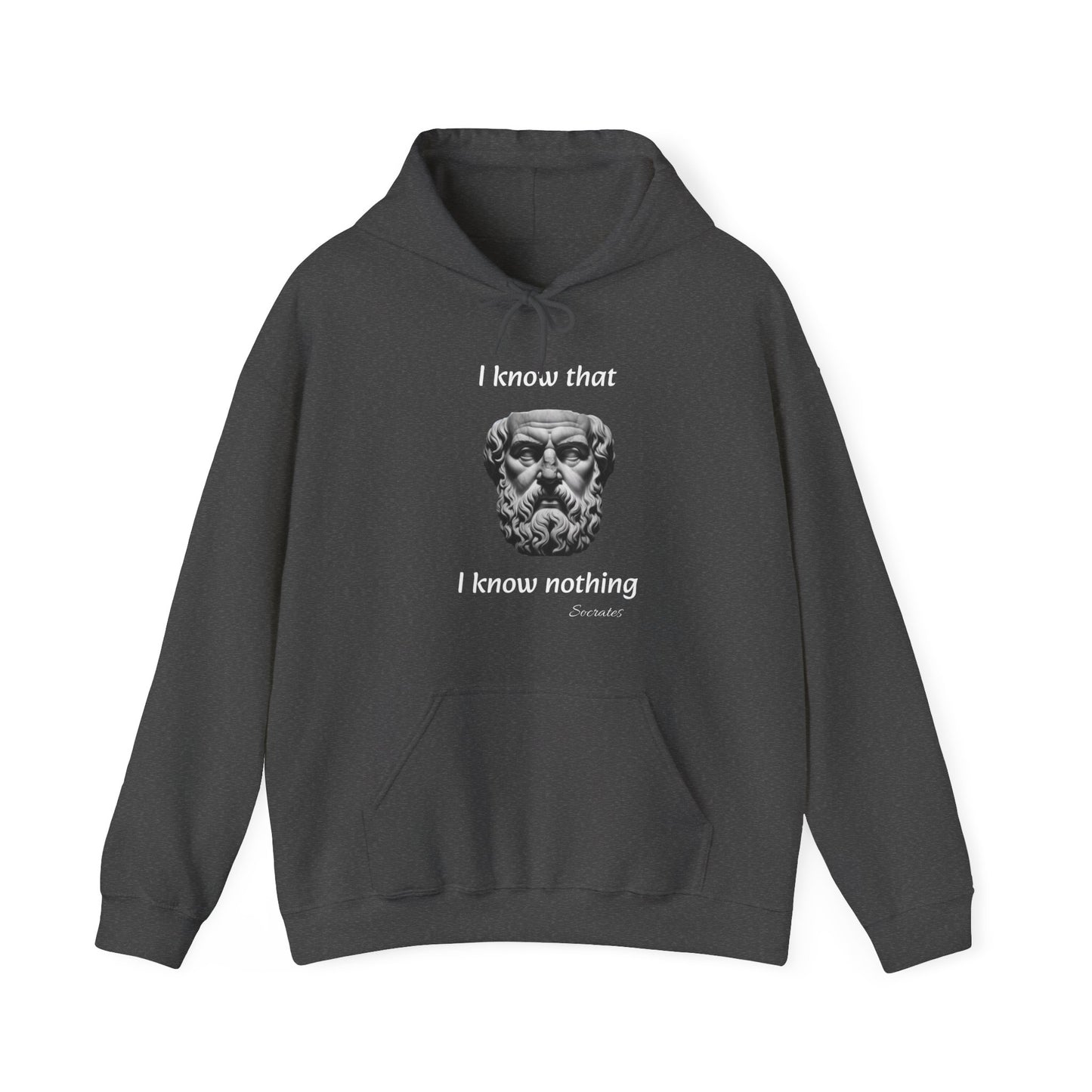 I Know That I Know Nothing (Socrates) - Unisex Heavy Blend™ Hooded Sweatshirt