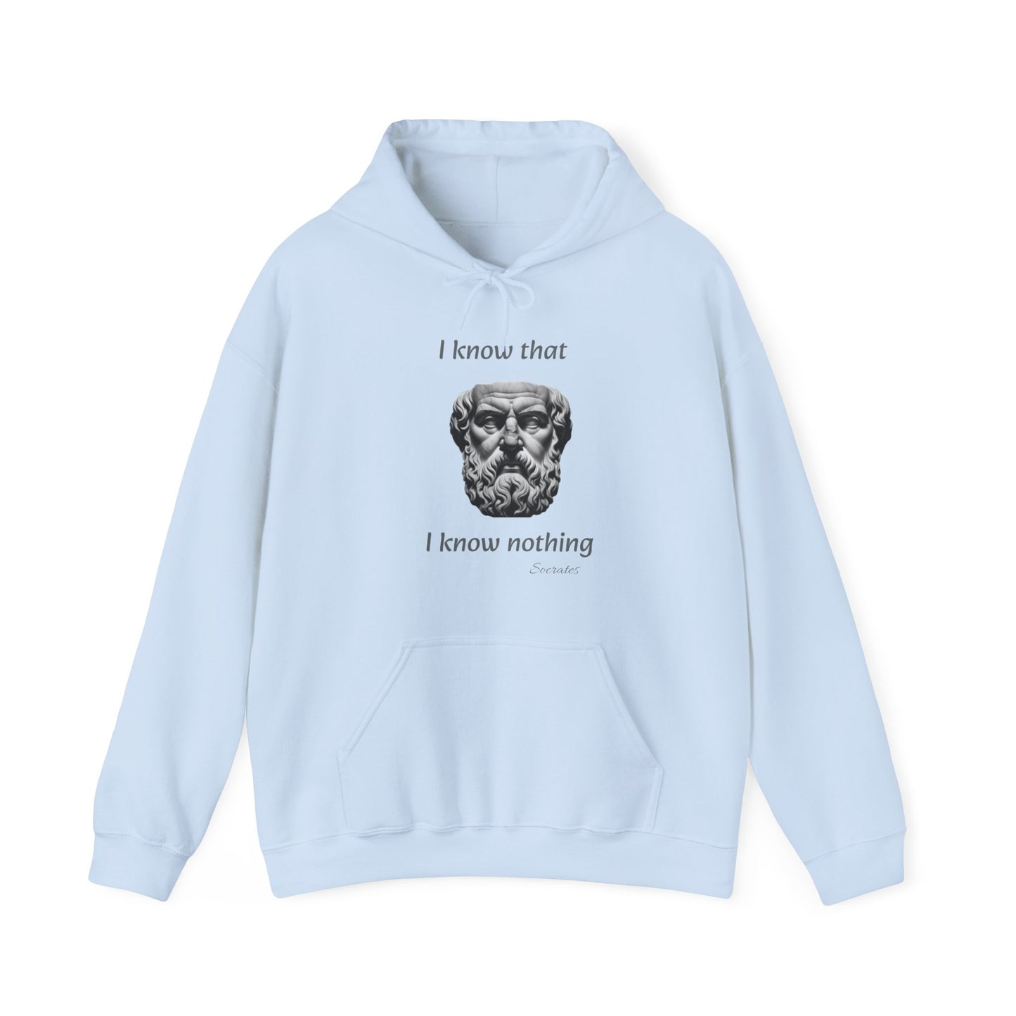 I Know That I Know Nothing (Socrates) - Unisex Heavy Blend™ Hooded Sweatshirt