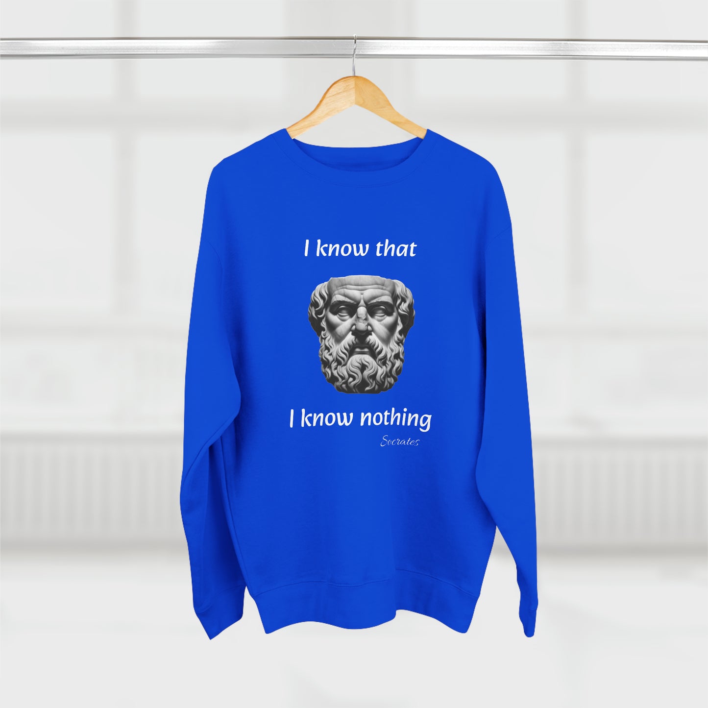 I Know That I Know Nothing (Socrates) - Unisex Crewneck Sweatshirt