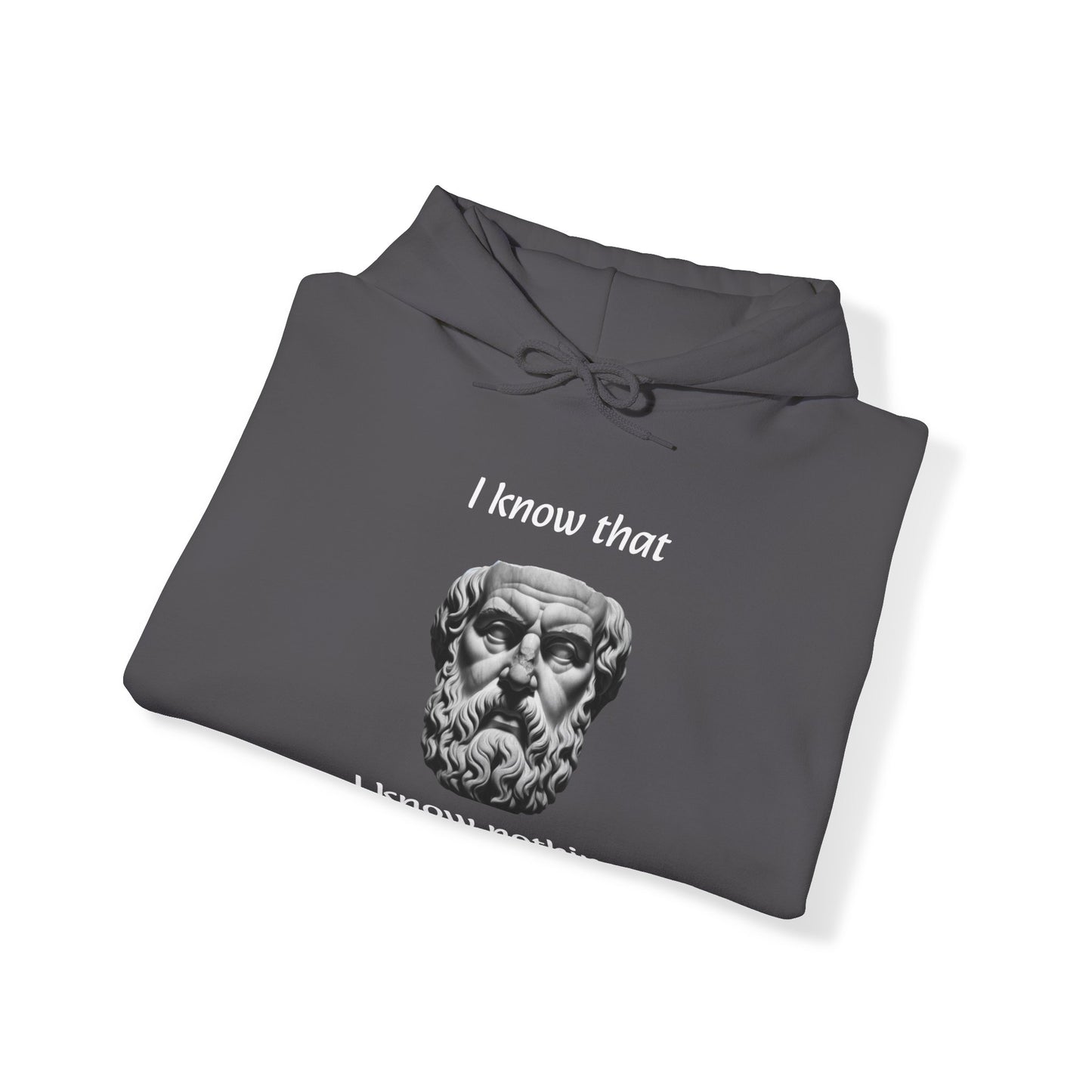 I Know That I Know Nothing (Socrates) - Unisex Heavy Blend™ Hooded Sweatshirt