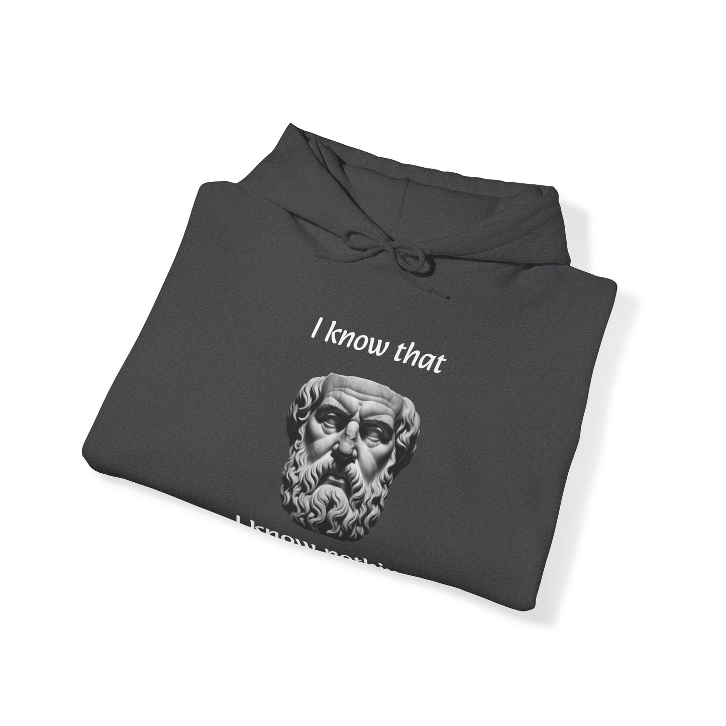 I Know That I Know Nothing (Socrates) - Unisex Heavy Blend™ Hooded Sweatshirt