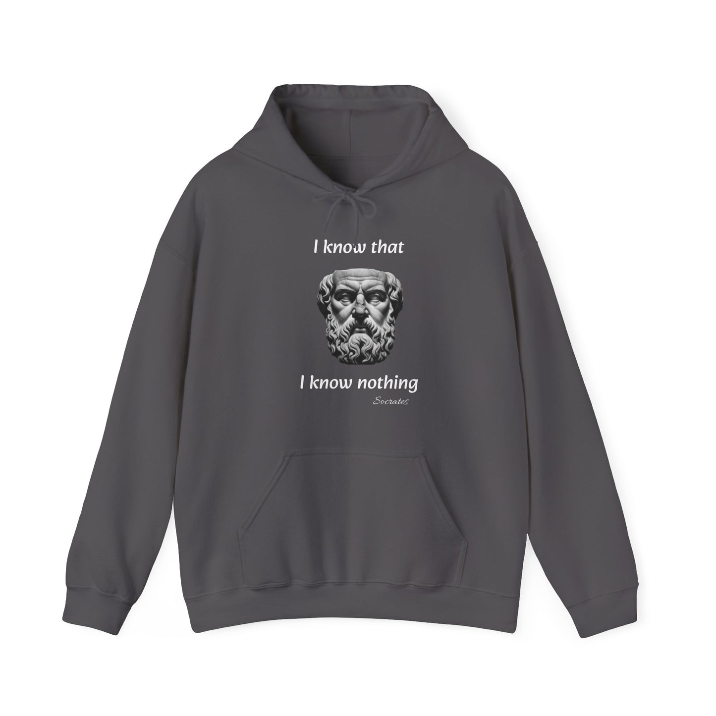 I Know That I Know Nothing (Socrates) - Unisex Heavy Blend™ Hooded Sweatshirt