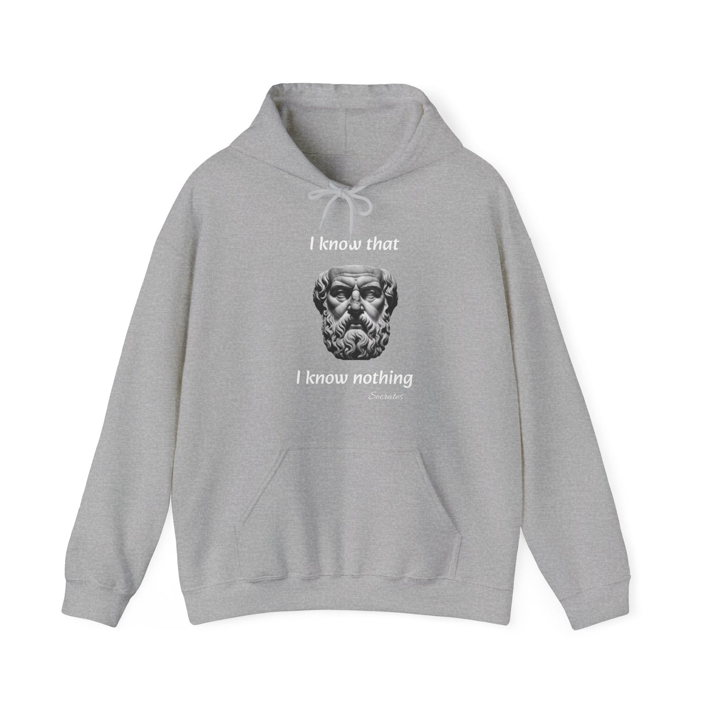 I Know That I Know Nothing (Socrates) - Unisex Heavy Blend™ Hooded Sweatshirt