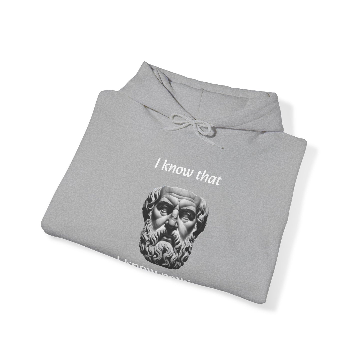 I Know That I Know Nothing (Socrates) - Unisex Heavy Blend™ Hooded Sweatshirt