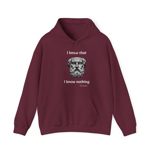 I Know That I Know Nothing (Socrates) - Unisex Heavy Blend™ Hooded Sweatshirt