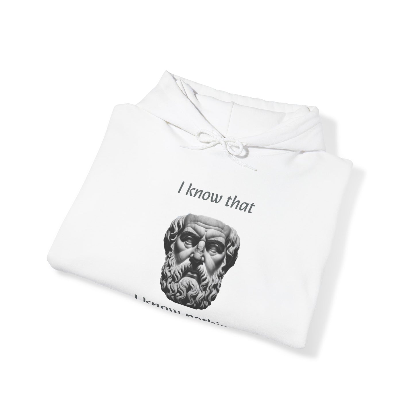 I Know That I Know Nothing (Socrates) - Unisex Heavy Blend™ Hooded Sweatshirt