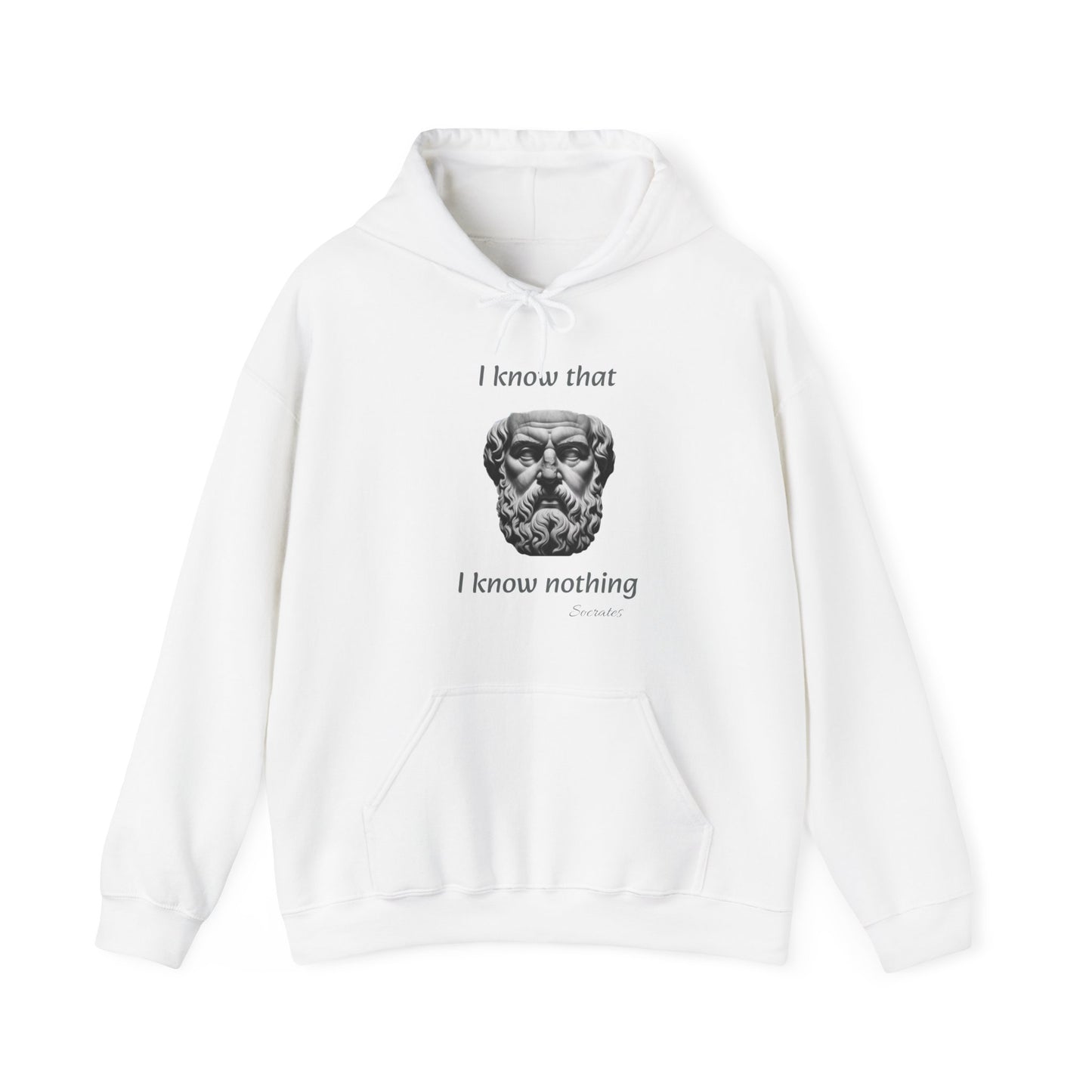 I Know That I Know Nothing (Socrates) - Unisex Heavy Blend™ Hooded Sweatshirt