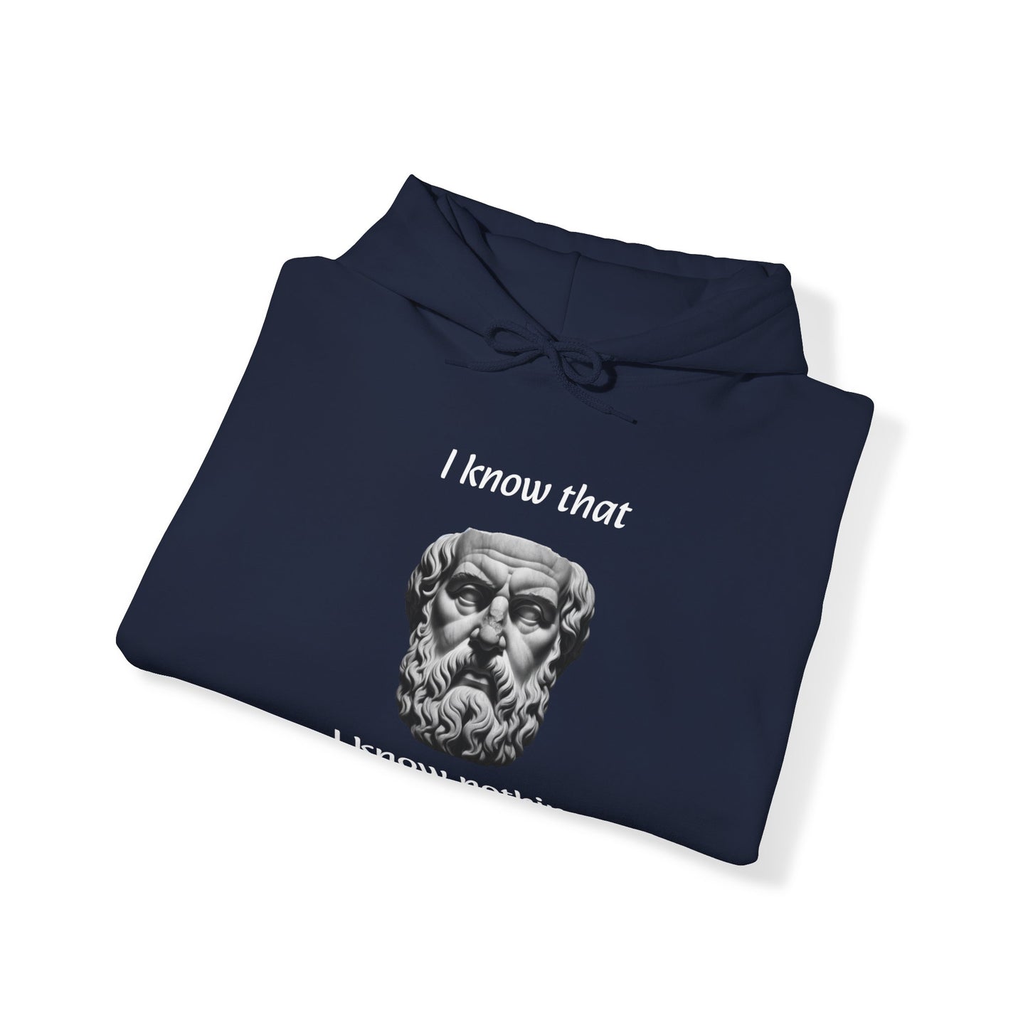 I Know That I Know Nothing (Socrates) - Unisex Heavy Blend™ Hooded Sweatshirt