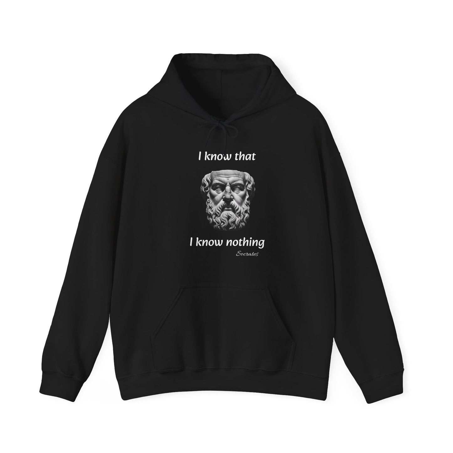 I Know That I Know Nothing (Socrates) - Unisex Heavy Blend™ Hooded Sweatshirt