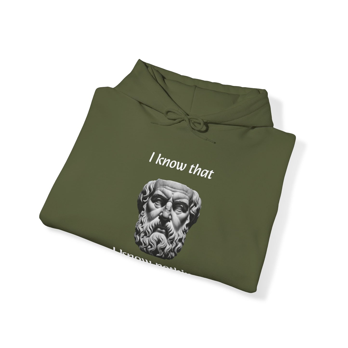 I Know That I Know Nothing (Socrates) - Unisex Heavy Blend™ Hooded Sweatshirt